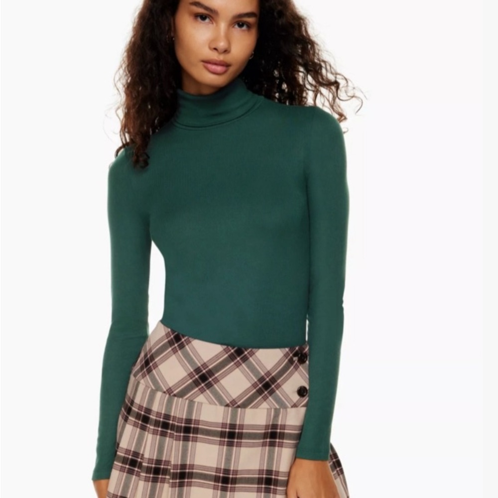 Aritzia⭐️Freshman turtleneck♥️EUC